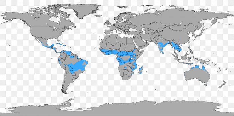 World Map The World Factbook Scale, PNG, 1200x596px, World, Equirectangular Projection, Geography, Latitude, Map Download Free