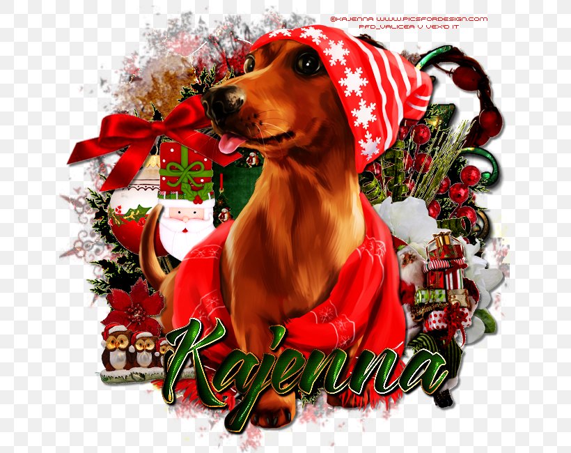 a puppy for christmas dog breed