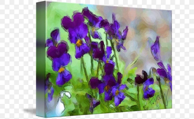 Violet Lavender Petal Annual Plant, PNG, 650x504px, Violet, Annual Plant, Bellflower Family, Flower, Flowering Plant Download Free