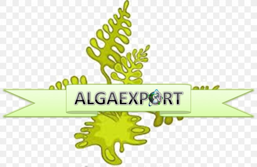 Algae Leaf, PNG, 1365x887px, Algae, Area, Brand, Cartoon, Coral Reef Download Free