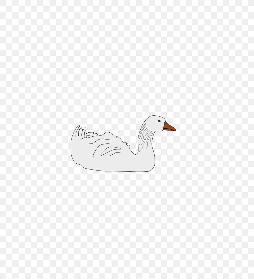 Duck Goose Beak Feather Neck, PNG, 636x900px, Duck, Beak, Bird, Ducks Geese And Swans, Feather Download Free