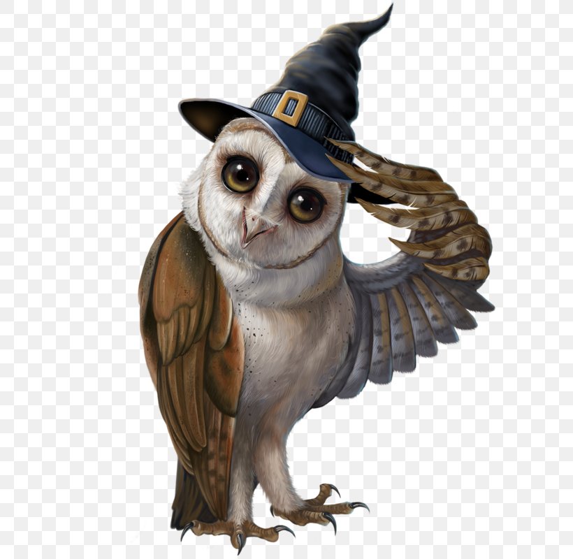 Owl Bat Halloween Pattern - GIF Smiley Emoticon Animaatio L'Ã©toile De L'amitiÃ© PNG