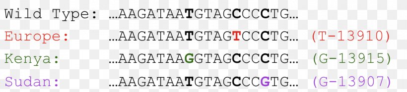 Milk Lactase Single-nucleotide Polymorphism Genetics DNA, PNG, 1501x341px, Milk, Area, Aretus, Brand, Code Download Free