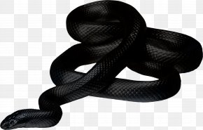 Snake - The Vanished Man More Twisted Trouble In Mind: The Collected Stories PNG