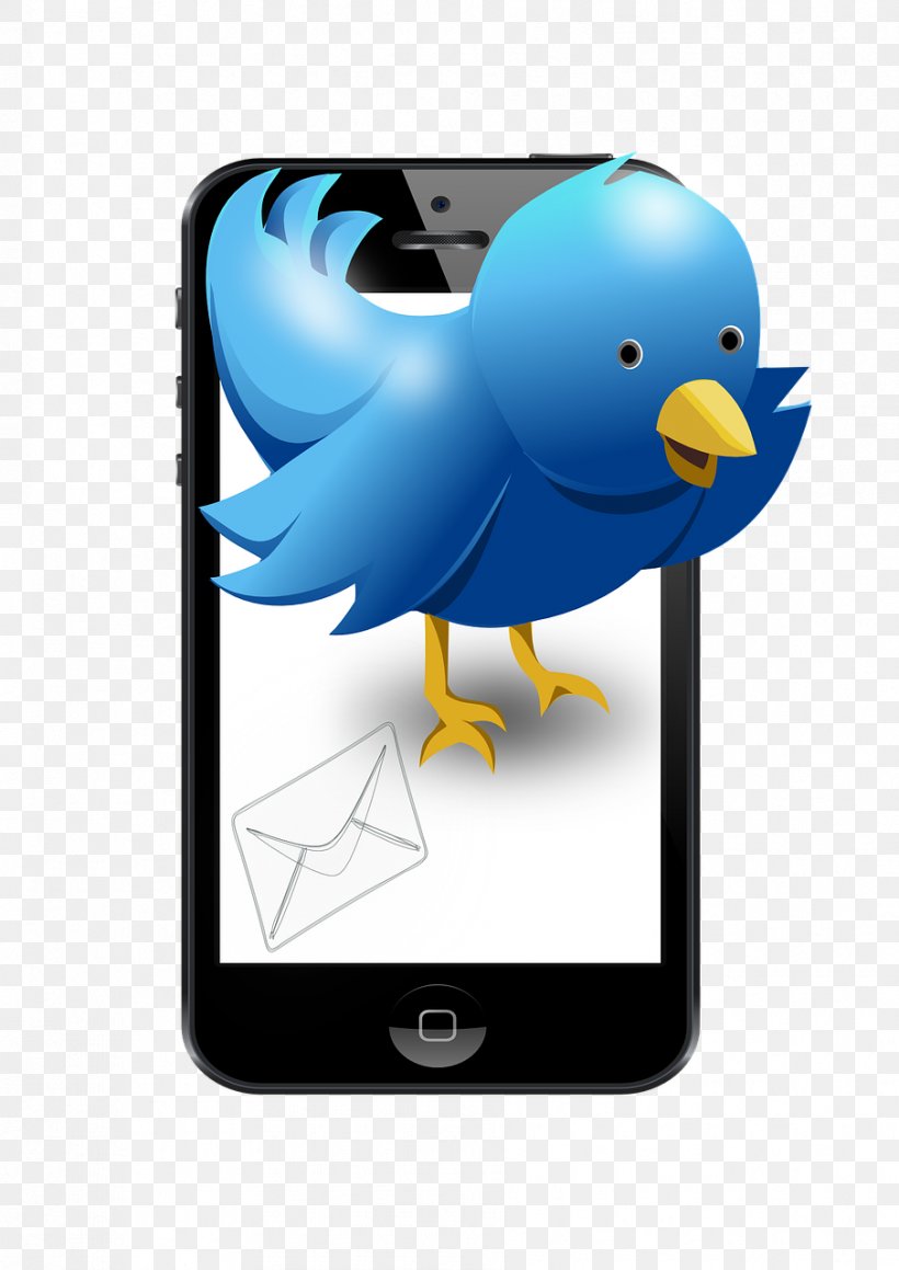 Clip Art Bird Social Media Advertising Tweety, PNG, 905x1280px, Bird, Advertising, Art, Audience, Beak Download Free