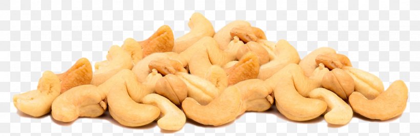 Nut Cashew Industry Company NASDAQ:CNSL, PNG, 1024x333px, Nut, Cashew, Company, Food, Industry Download Free