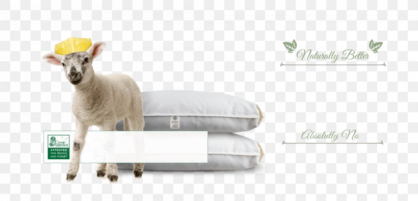 Baby Bedding Furniture Mattress Protectors Bed Sheets, PNG, 2000x961px, Baby Bedding, Animal Figure, Bed, Bed Sheets, Bedding Download Free