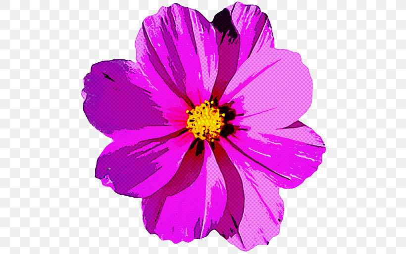 Flower Petal Violet Plant Purple, PNG, 500x514px, Flower, Cosmos, Daisy Family, Magenta, Petal Download Free