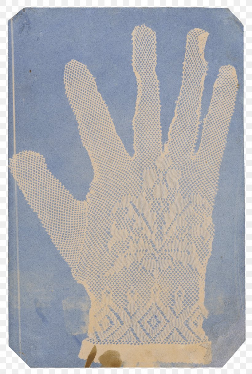 [Lace Glove] [Arrangement Of Specimens] J. Paul Getty Museum Photography Cyanotype, PNG, 1200x1780px, Lace Glove, Art, Cyanotype, Glove, Hand Download Free