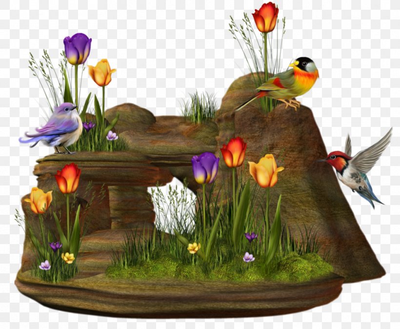 Nature Clip Art, PNG, 986x811px, Nature, Animation, Bird, Biscuits, Blog Download Free