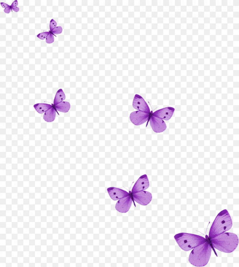 Butterfly Clip Art, PNG, 861x960px, Butterfly, Information, Insect, Invertebrate, Lavender Download Free