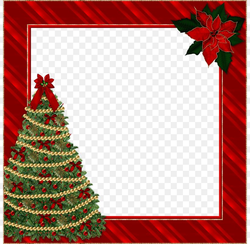 Christmas Picture Frame Clip Art, PNG, 800x800px