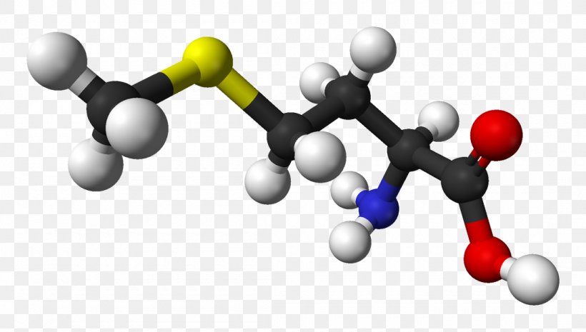 Methionine Essential Amino Acid Chemistry, PNG, 1100x624px, Methionine, Acid, Amino Acid, Ballandstick Model, Chemistry Download Free