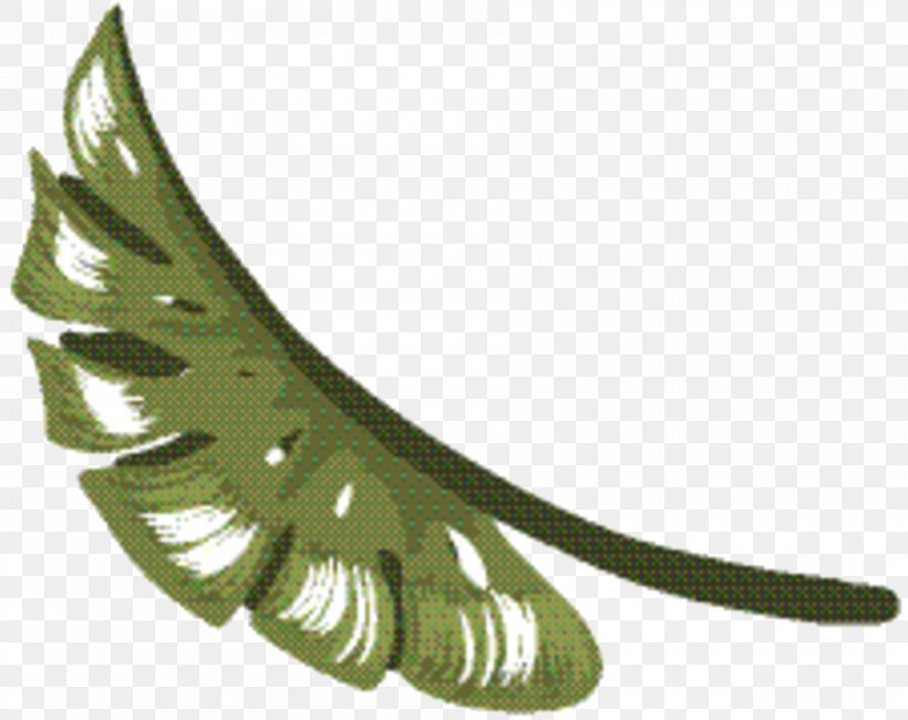 Plant Leaf, PNG, 902x715px, Leaf, Dandelion, Fashion Accessory, Feather, Plant Download Free