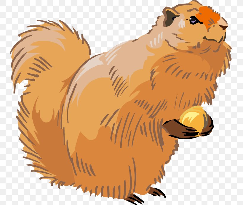 Squirrel Whiskers Lion Clip Art, PNG, 750x693px, Squirrel, Beak, Beaver, Big Cats, Bird Download Free