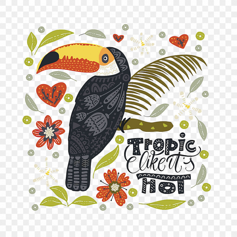 Bird Toucan Hornbill Piciformes Beak, PNG, 1000x1000px, Bird, Beak, Coraciiformes, Hornbill, Piciformes Download Free