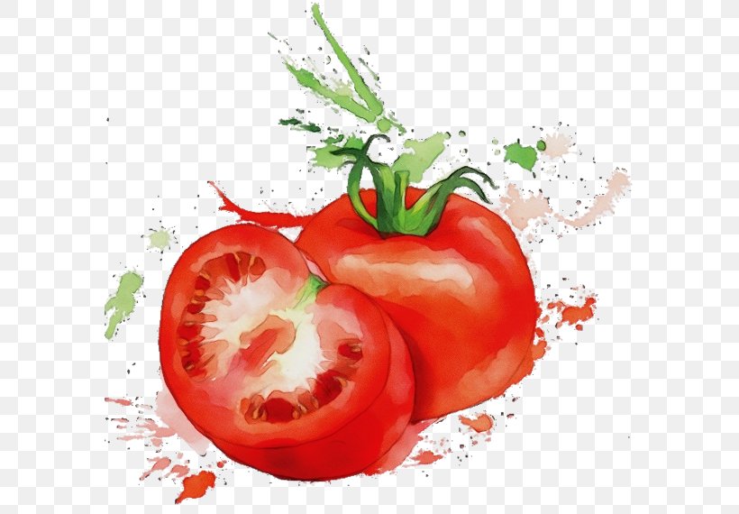 Drawing Of Family, PNG, 600x570px, Watercolor, Bell Pepper, Capsicum, Cherry Tomato, Cherry Tomatoes Download Free