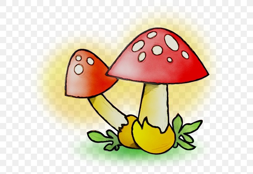 Edible Mushroom Drawing Clip Art Vector Graphics, PNG, 640x566px, Mushroom, Agaric, Cartoon, Common Mushroom, Drawing Download Free