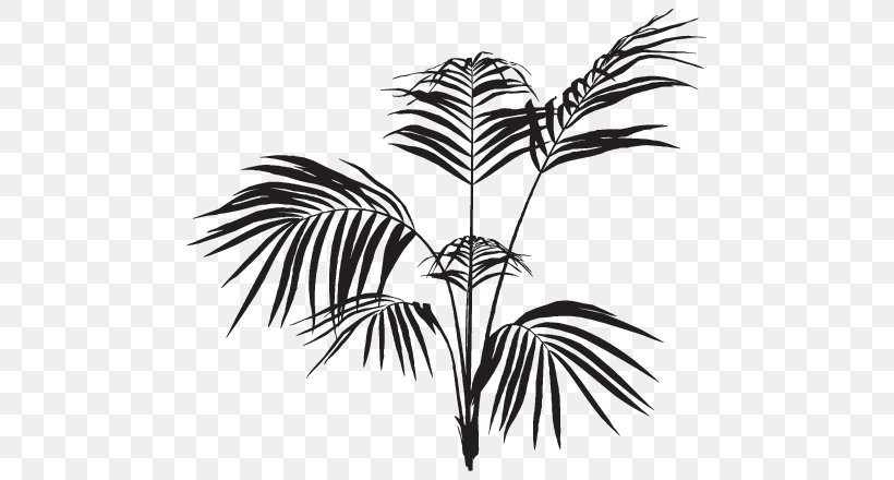 Arecaceae Frond Palm Branch Black And White Leaf, PNG, 707x440px, Arecaceae, Arecales, Black, Black And White, Branch Download Free