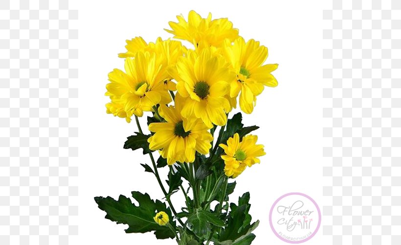Chrysanthemum Flower Bouquet Yellow Seversk Marguerite Daisy, PNG, 500x500px, Chrysanthemum, Annual Plant, Chrysanths, Cut Flowers, Daisy Family Download Free