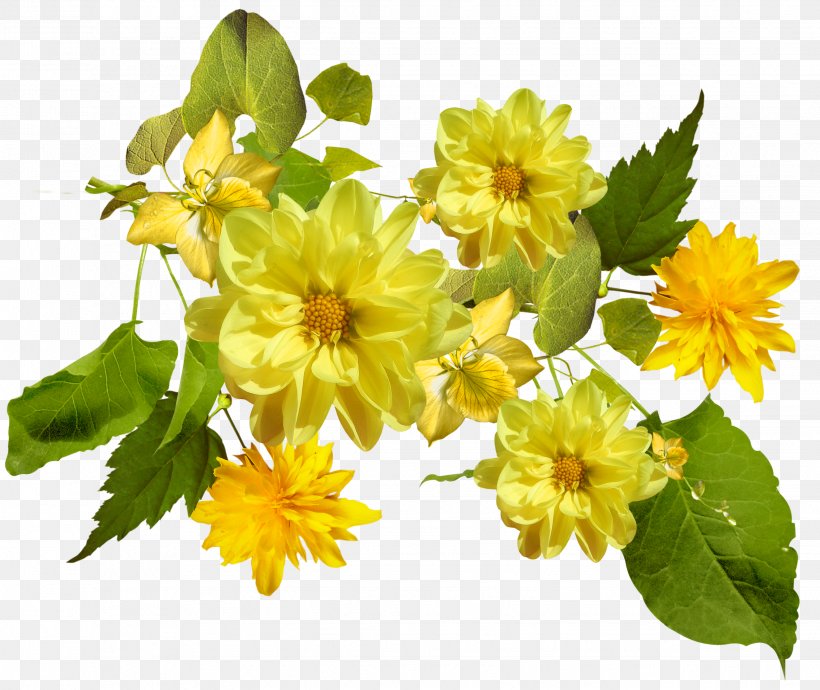 Flower Yellow Color Clip Art, PNG, 2268x1910px, Flower, Annual Plant, Black, Color, Flower Bouquet Download Free