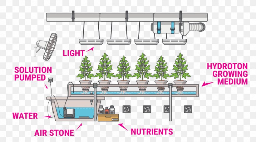 Nutrient Hydroponics Cannabis Cultivation Hidrokültür, PNG, 901x501px, Nutrient, Agriculture, Basement, Brand, Cannabis Download Free