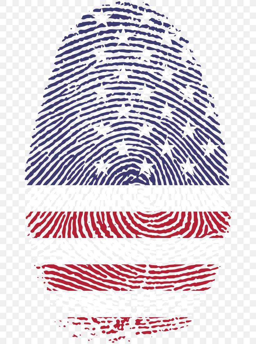 United States Fingerprint Detective Clip Art, PNG, 675x1100px, United States, Area, Finger, Fingerprint, Fingerprint Detective Download Free