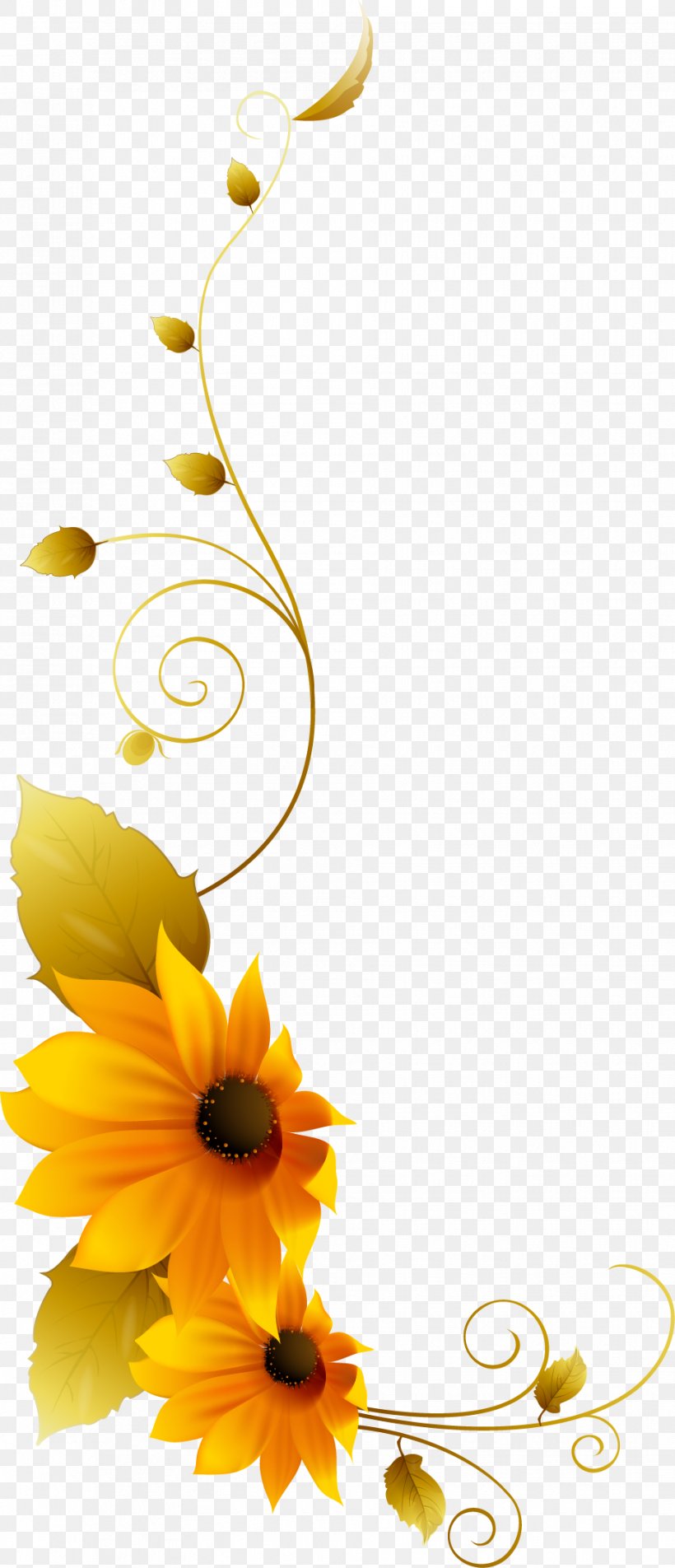 Chrysanthemum Clip Art, PNG, 930x2160px, Chrysanthemum, Cut Flowers, Daisy Family, Flora, Floral Design Download Free