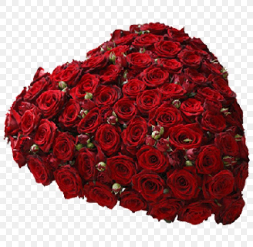 Garden Roses Cut Flowers Floral Design, PNG, 800x800px, Garden Roses, Centimeter, Chocolate, Cut Flowers, Floral Design Download Free