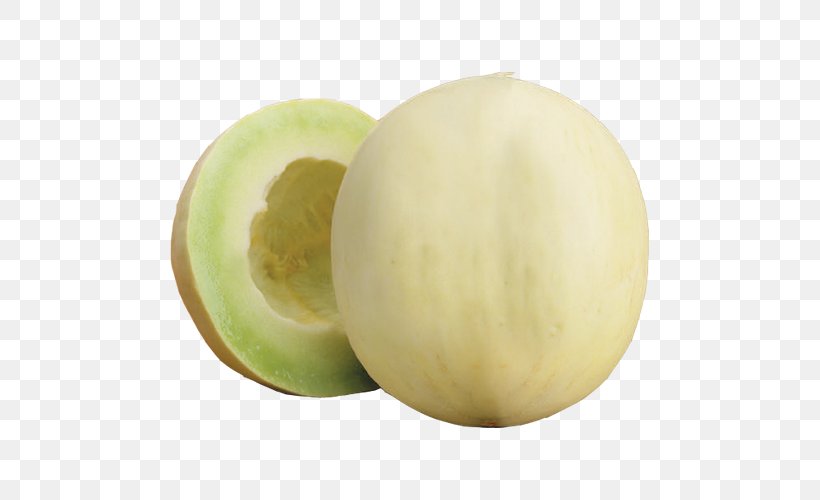 Honeydew Cantaloupe Galia Melon Canary Melon, PNG, 500x500px, Honeydew, Bubble Tea, Canary Melon, Cantaloupe, Cucumber Gourd And Melon Family Download Free