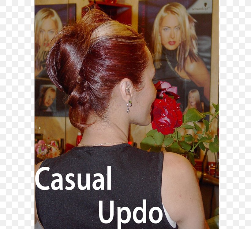 Long Hair Bun Hair Coloring Ponytail, PNG, 750x750px, Long Hair, Blond, Brown, Brown Hair, Bun Download Free