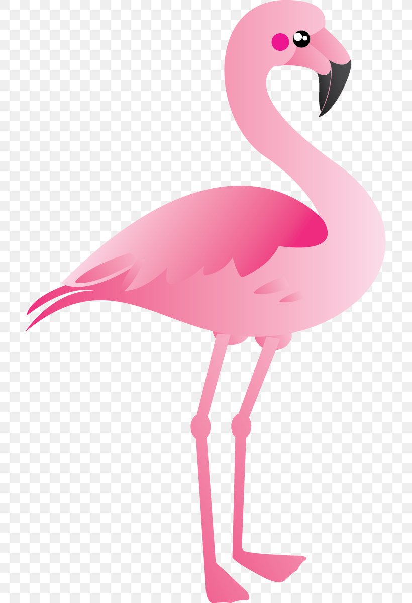 Plastic Flamingo Clip Art, PNG, 717x1199px, Plastic Flamingo, Beak, Bird, Feather, Flamingo Download Free
