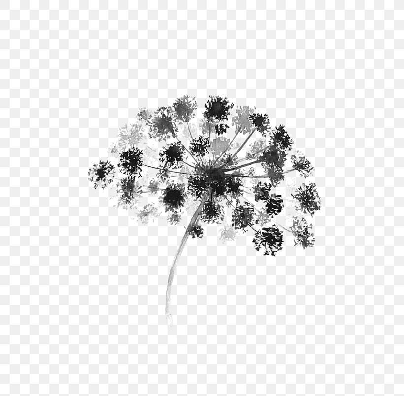 Black And White Watercolor Painting Flower Graphic Design, PNG, 564x805px, Black And White, Art, Branch, Color, Digital Illustration Download Free