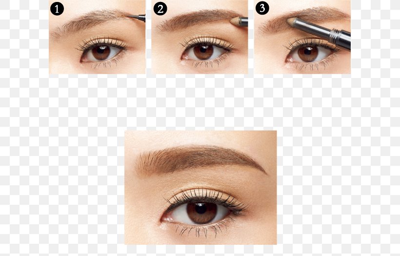 Eyebrow Cosmetics Nose Liquid, PNG, 619x525px, Eyebrow, Cheek, Close Up, Cosmetics, Eye Download Free