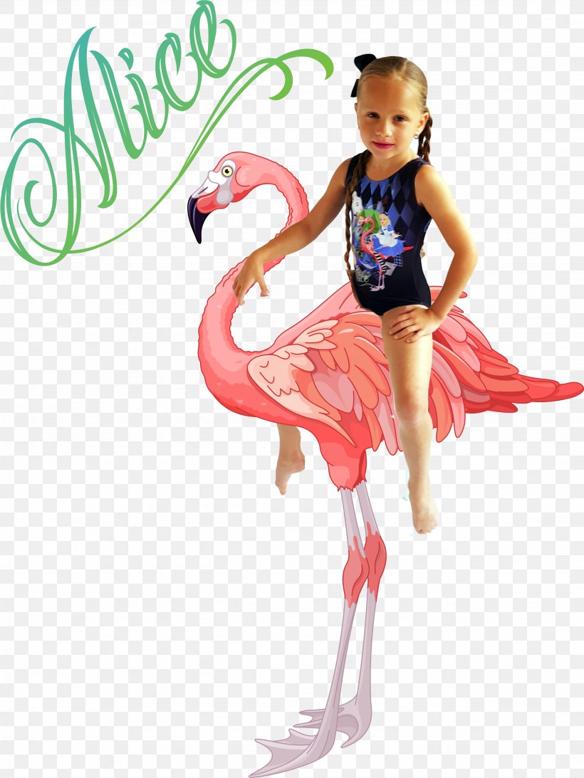 Greater Flamingo Stock Photography, PNG, 2668x3559px, Flamingo, Ballet Tutu, Bird, Bodysuits Unitards, Clothing Download Free