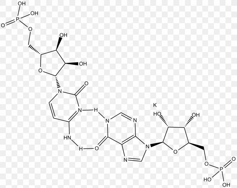 Polyinosinic:polycytidylic Acid Toll-like Receptor TLR3, PNG, 1857x1474px, Tolllike Receptor, Acid, Agonist, Area, Arn Double Brin Download Free