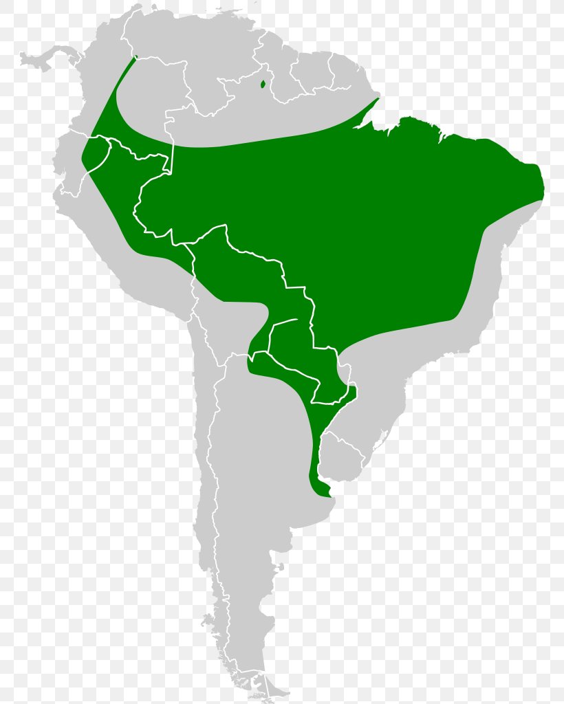 South America United States Of America Map Globe, PNG, 765x1024px, South America, Americas, Blank Map, Continent, Globe Download Free