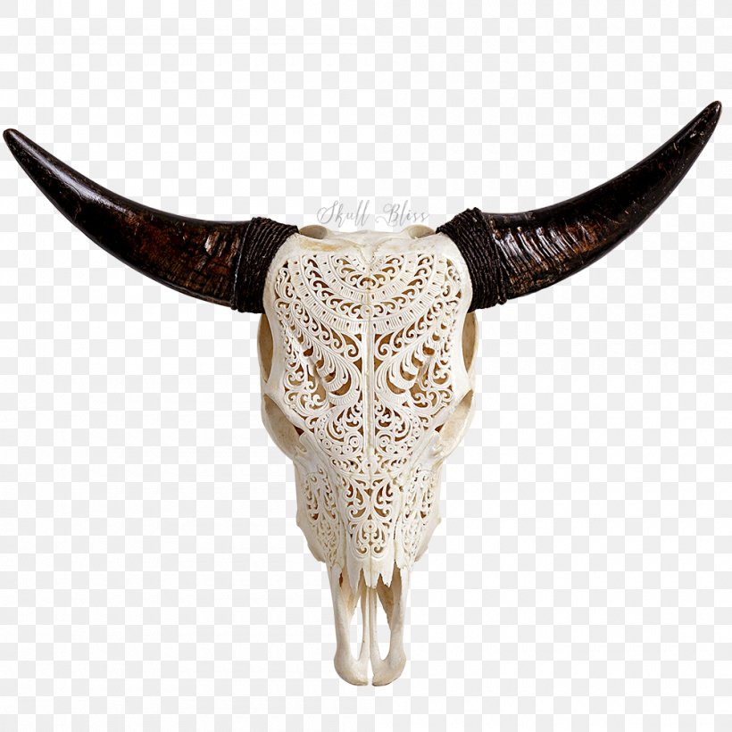 Texas Longhorn Human Skull Symbolism Bull Animal Skulls, PNG, 1000x1000px, Texas Longhorn, Animal, Animal Skulls, Bone, Bull Download Free