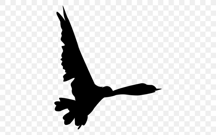 Bird Flight Bird Flight Clip Art, PNG, 512x512px, Bird, Animal, Beak, Bird Flight, Bird Of Prey Download Free