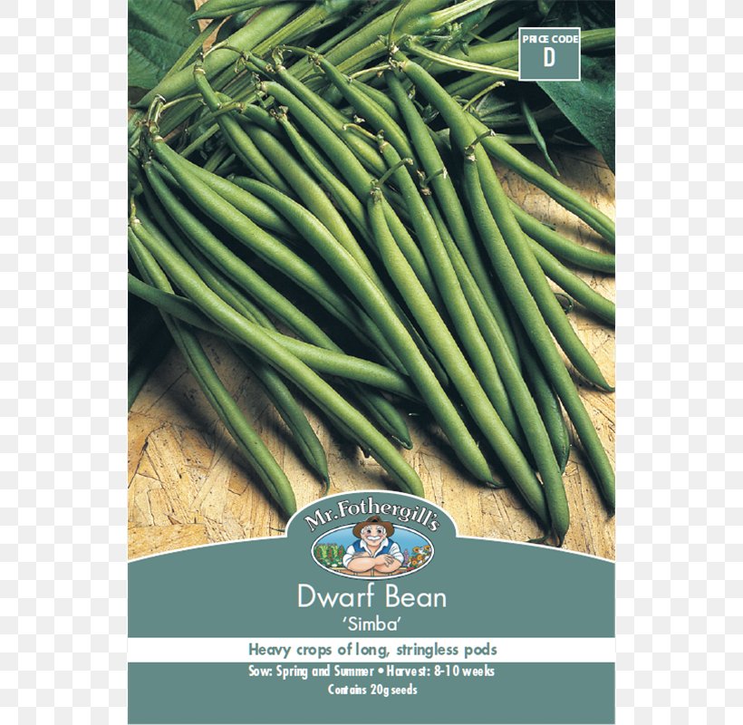 Allium Fistulosum Vegetarian Cuisine Green Bean Vegetable Welsh Cuisine, PNG, 800x800px, Allium Fistulosum, Allium, Food, Grass, Green Bean Download Free