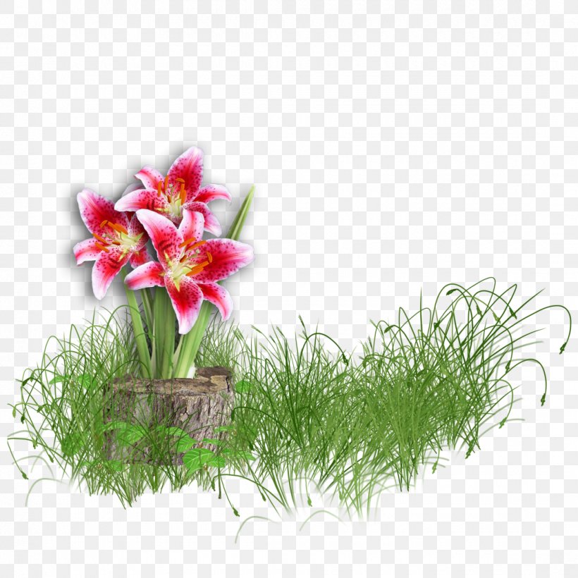 Flower Lilium, PNG, 1080x1080px, Flower, Amaryllis, Aquarium Decor, Artificial Flower, Blog Download Free