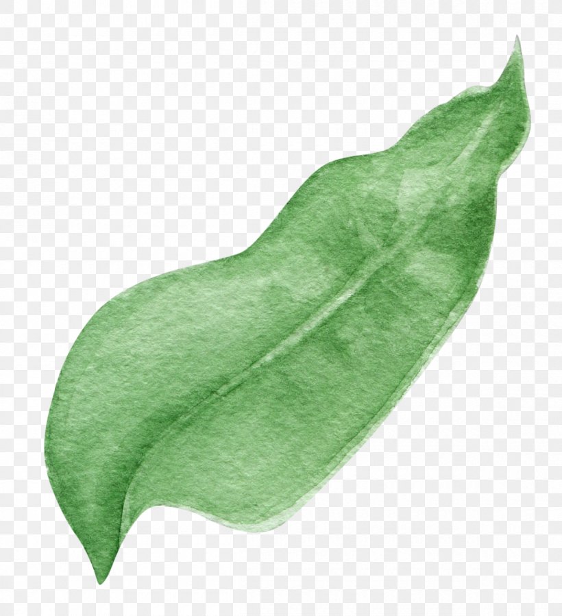 Green Leaf Design Image, PNG, 1200x1316px, Green, Alismatales, Anthurium, Arum Family, Cartoon Download Free
