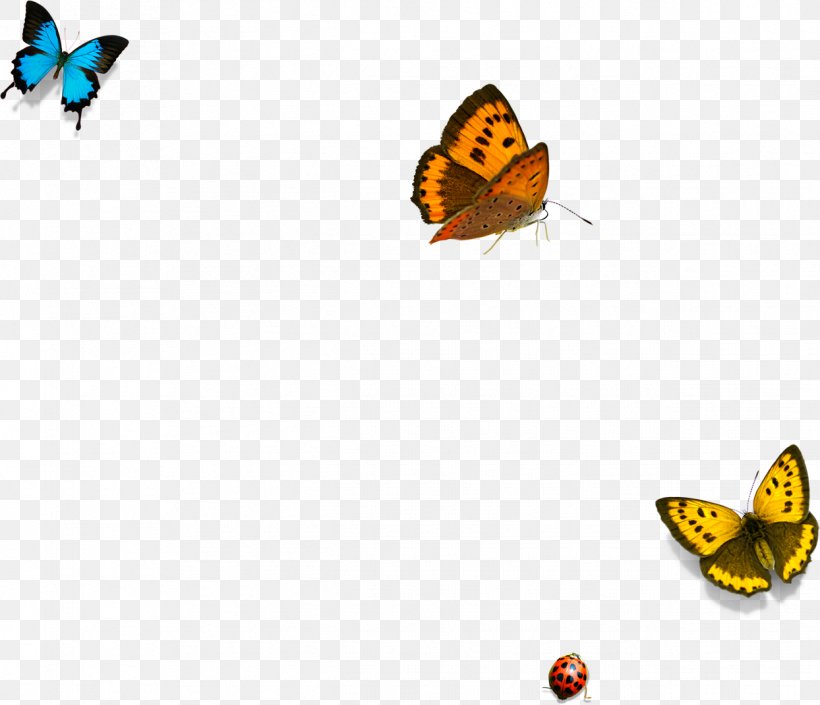 Butterfly Yellow Download, PNG, 1244x1071px, Butterfly, Blue, Color, Dots Per Inch, Insect Download Free