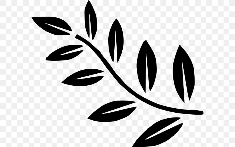 Clip Art Branch Leaf Plants, PNG, 600x513px, Branch, Blackandwhite, Botany, Fern, Flower Download Free