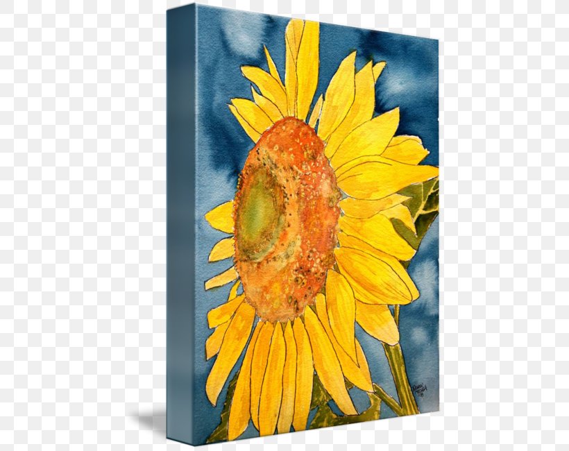 Common Sunflower Watercolor Painting Art Drawing, PNG, 459x650px, Common Sunflower, Abstract Art, Acrylic Paint, Art, Canvas Download Free