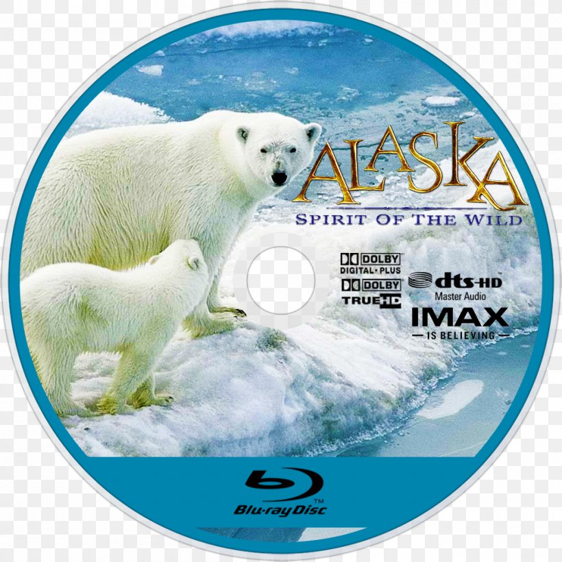 Polar Bear Blu-ray Disc 09738 Polar Ice Cap, PNG, 1000x1000px, Polar Bear, Arctic, Bear, Bluray Disc, Carnivoran Download Free