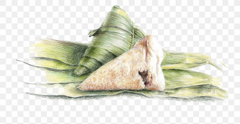 Zongzi Dragon Boat Festival U7aefu5348, PNG, 985x510px, Zongzi, Color, Colored Pencil, Creative Work, Dragon Boat Download Free