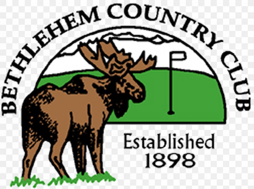 Bethlehem Country Club Cattle Golf The Olde Bostonian Tavern & Grille, PNG, 2000x1492px, Cattle, Antler, Area, Bethlehem, Cattle Like Mammal Download Free