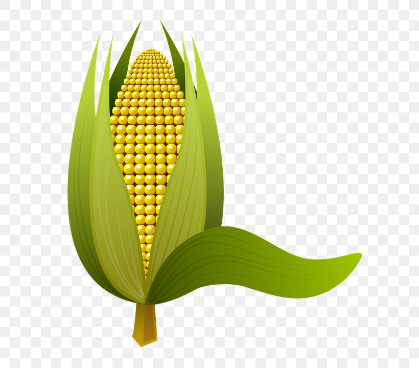 Clip Art Maize Image Adobe Photoshop, PNG, 662x720px, Maize, Cartoon, Cereal, Commodity, Computer Software Download Free