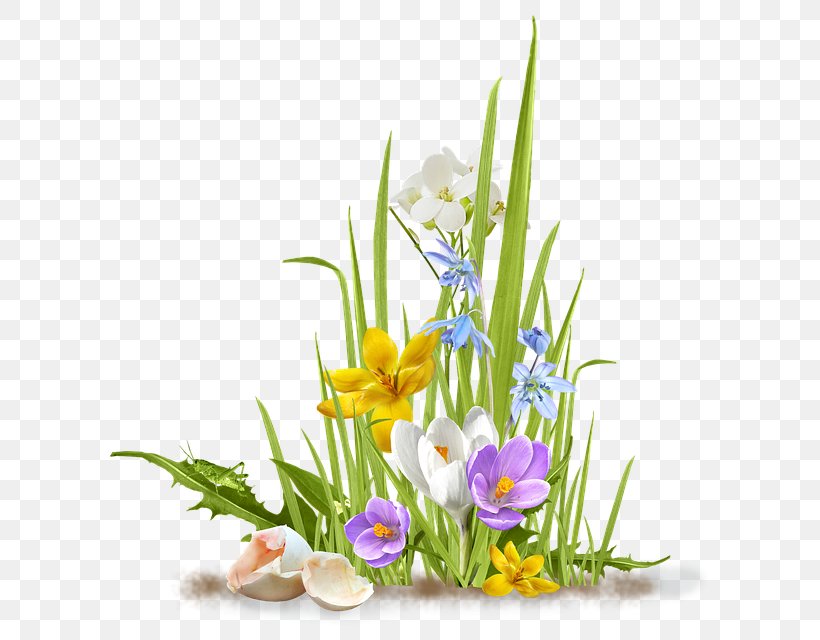 Flower Desktop Wallpaper Clip Art, PNG, 622x640px, Flower, Art, Crocus, Cut Flowers, Flora Download Free